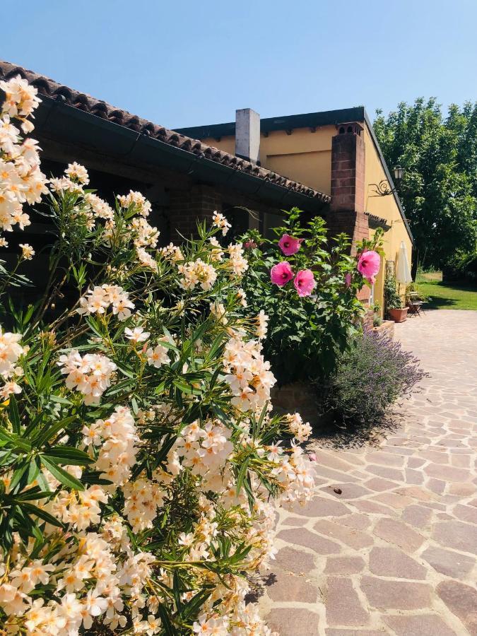 La Casa Nei Campi Villa Badia Pavese Exterior photo